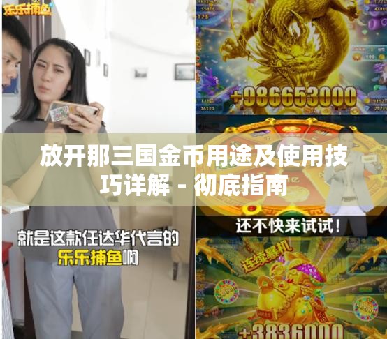 放开那三国金币用途及使用技巧详解 - 彻底指南