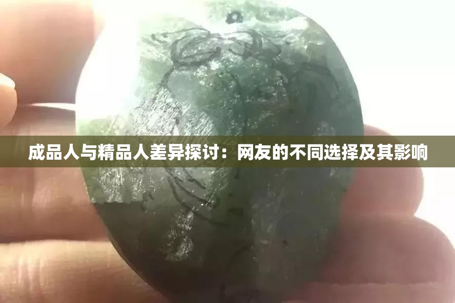 成品人与精品人差异探讨：网友的不同选择及其影响