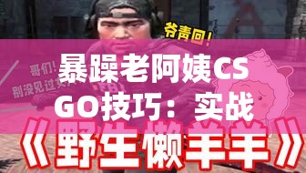 暴躁老阿姨CSGO技巧：实战秘籍大公开 - 提升你的游戏水平