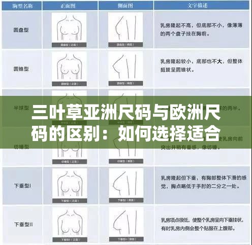 三叶草亚洲尺码与欧洲尺码的区别：如何选择适合的尺码