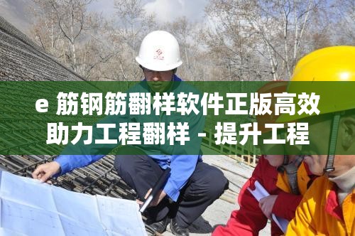 e 筋钢筋翻样软件正版高效助力工程翻样 - 提升工程效率的利器