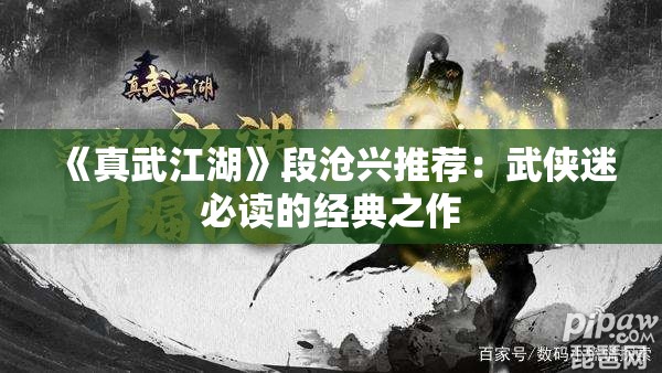 《真武江湖》段沧兴推荐：武侠迷必读的经典之作