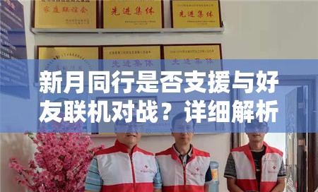 新月同行是否支援与好友联机对战？详细解析